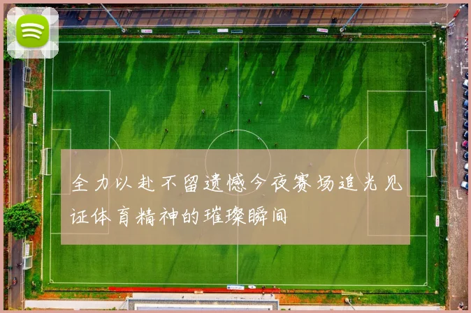 全力以赴不留遗憾今夜赛场追光见证体育精神的璀璨瞬间