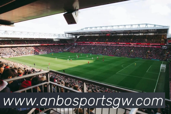 安博体育平台生态图