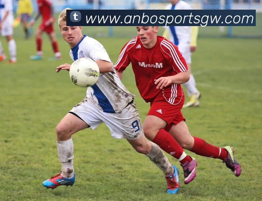 安博体育APP 封面图